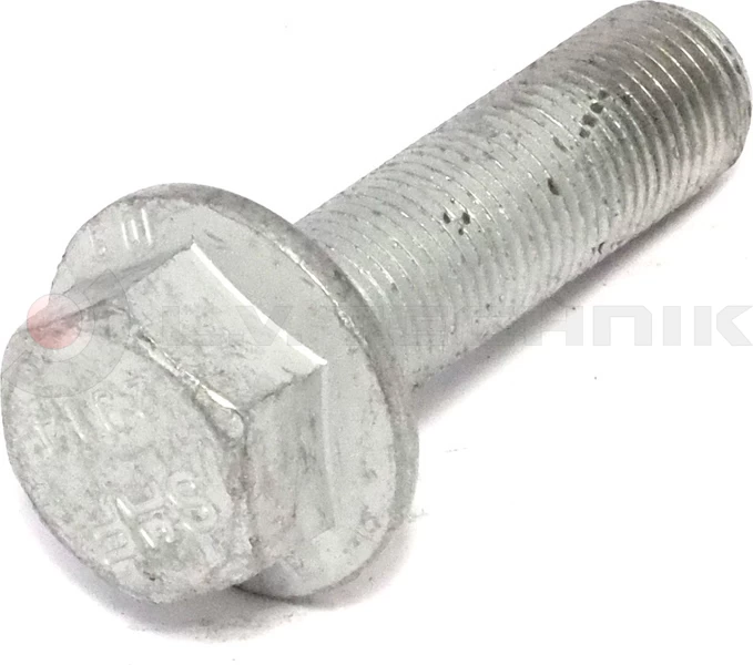 Screw