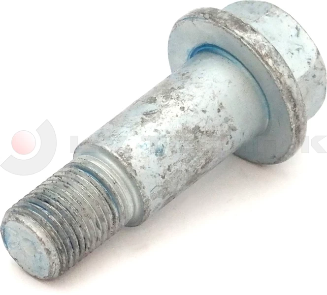 Screw
