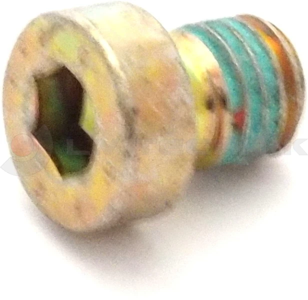 Screw