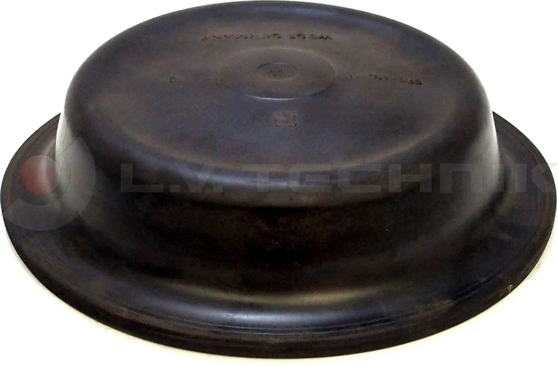 Diaphragm 30