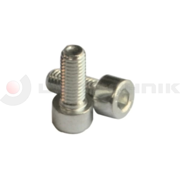 Hinge screw M8x20