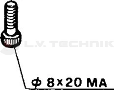 Hinge screw M8x20