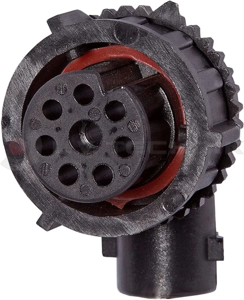 Plug 8-pin 0629