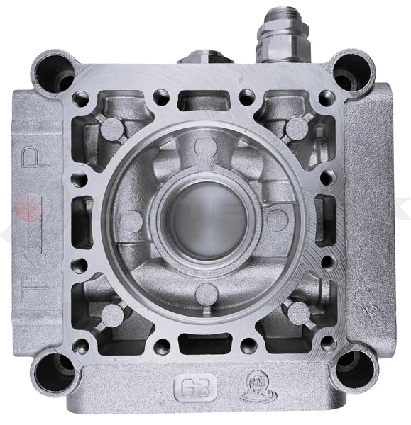 Central manifold