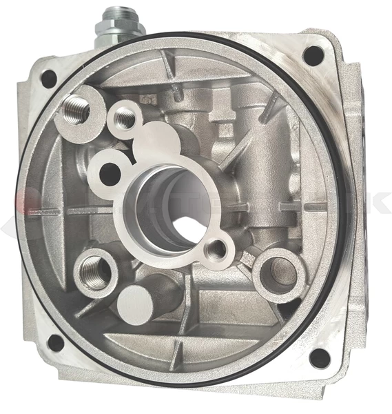 Central manifold