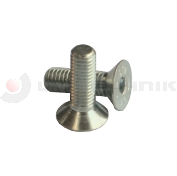Zsanércsavar 90 mm-es HM zsanérhoz és 120 mm-es agyhoz M8x25