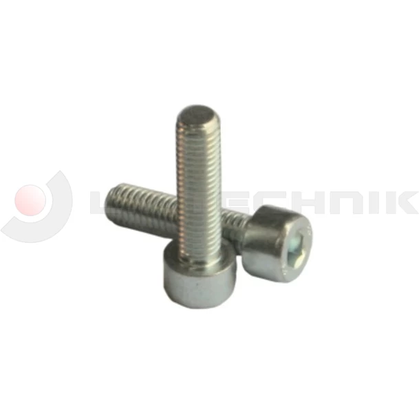 Hinge screw