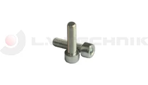 Hinge screw